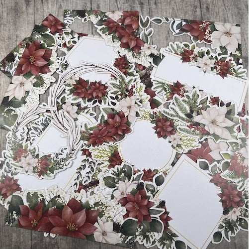 Dan cuts pointsettia 1