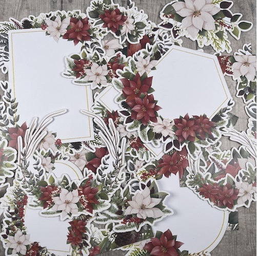 Dan cuts pointsettia 2