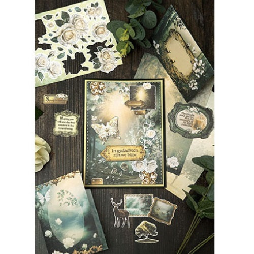 Studio Light Quiet Morning