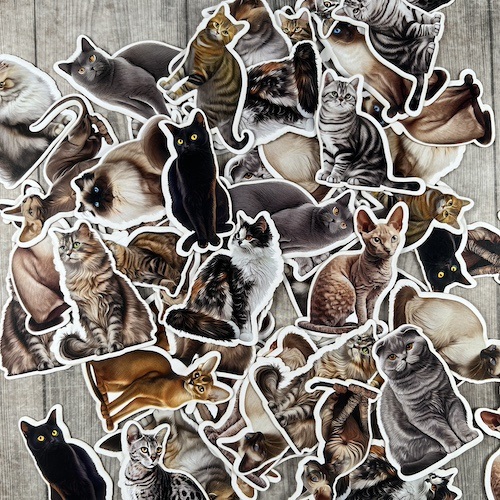 Katte
