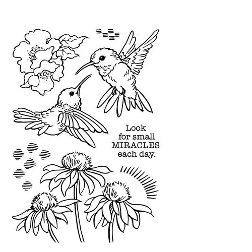 Hummingbird day
