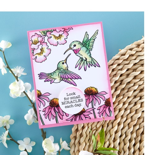 Hummingbird day