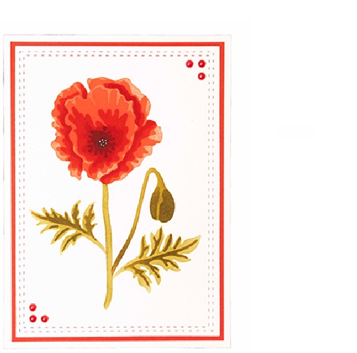 Poppy / Valmuer