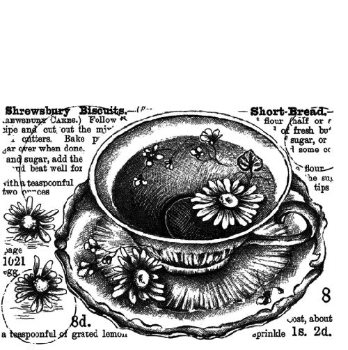 Crafty individuals Shrewsbury biscuits