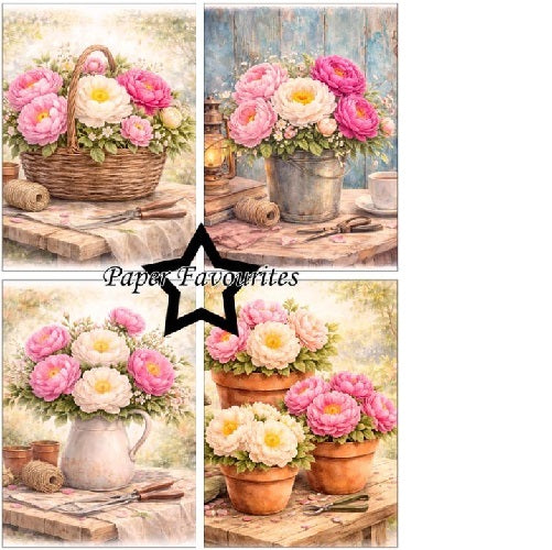 Paper favourites Penoy