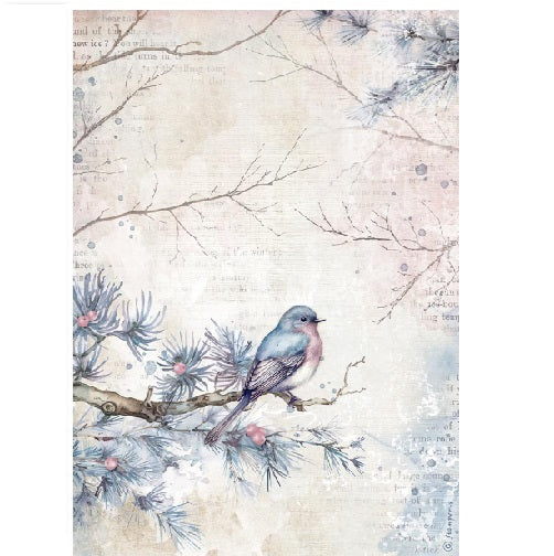 Bird dewdrops