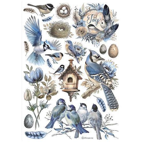 Birds
