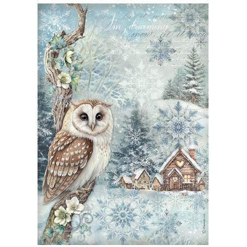 The  Owl´s house