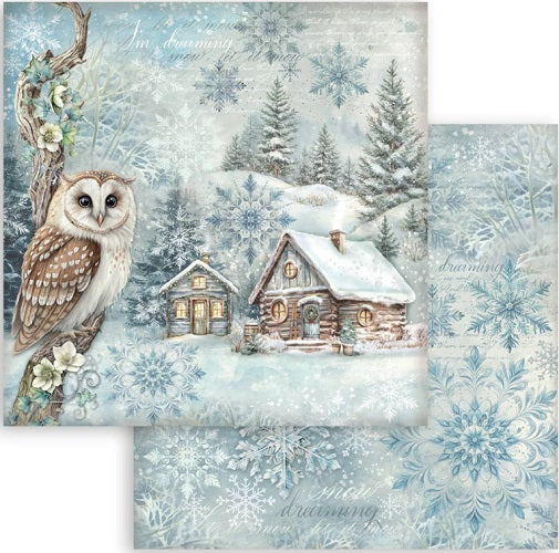 The Owl´s house