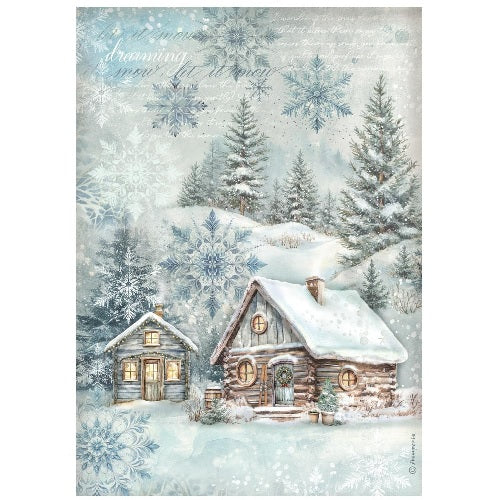 The Owl´s  house