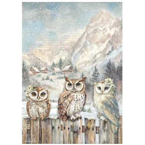 The Owl´s house