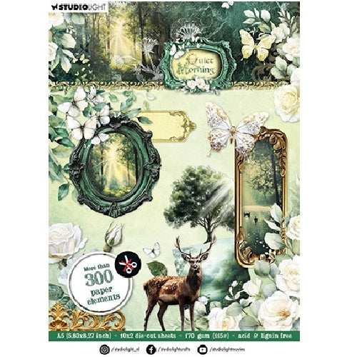 Studio Light Quiet Morning