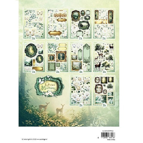 Studio Light Quiet Morning