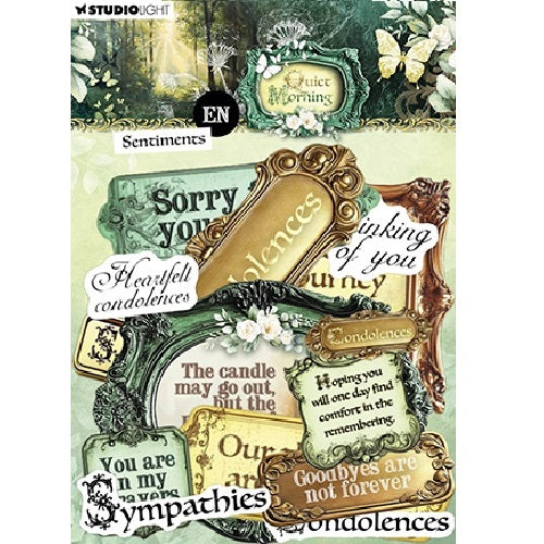 Studio Light Quiet Morning